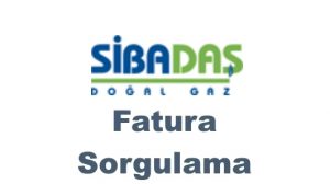 kayserigaz dogalgaz fatura sorgulama ve kredi karti ile odeme kolay hizli fatura islemleri